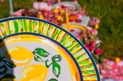 Summer Fruit 6-Piece Dishware Plate Set 🍋