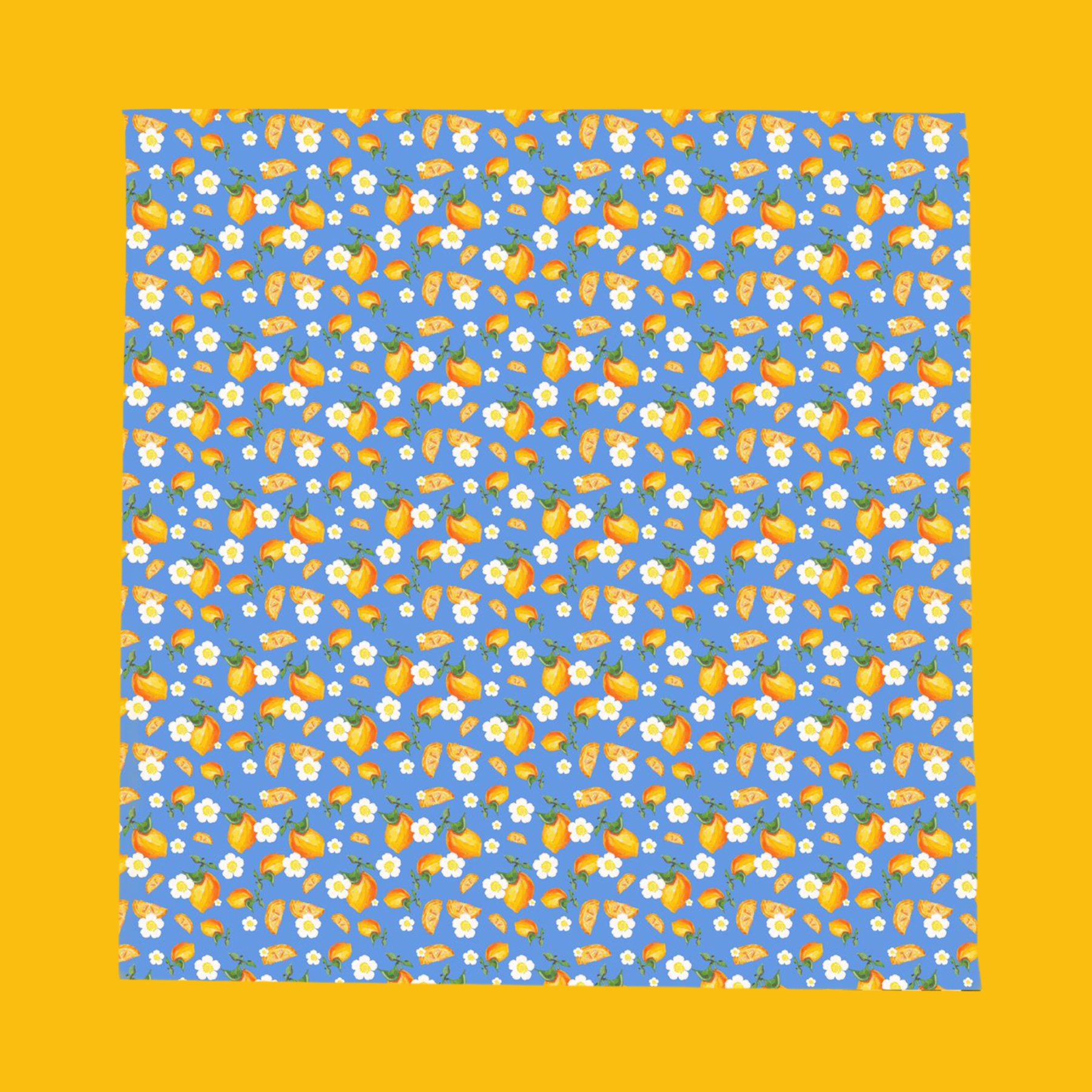 7_d074fdce-294b-4b9a-9c6e-79faa41641b8.png