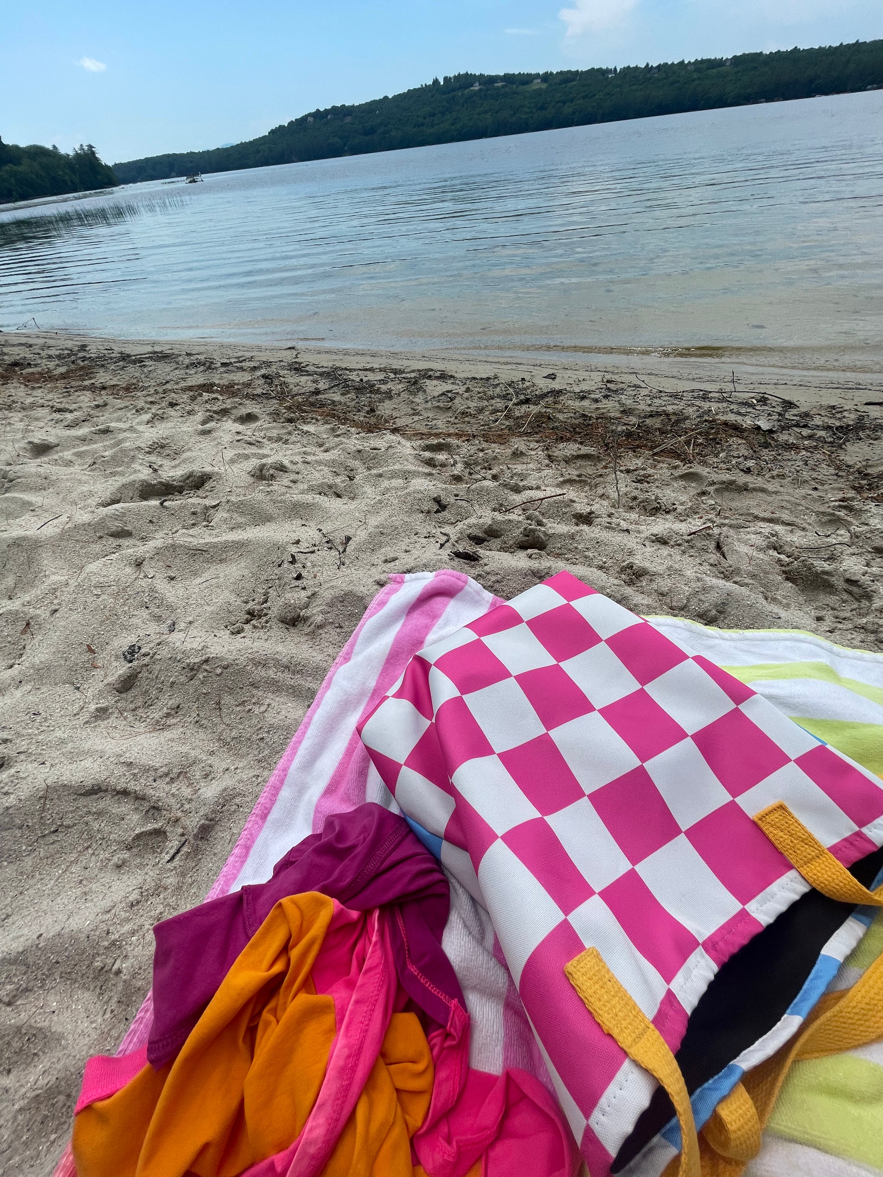 Trendy Checkered Blue and Pink Tote Bag 🍭