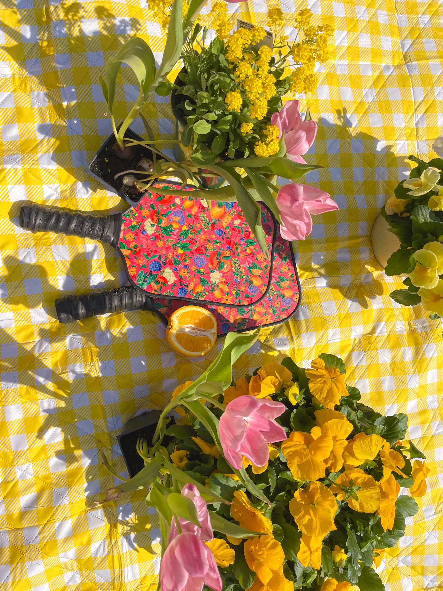 Citrus Garden Pink Pickleball Paddle Set