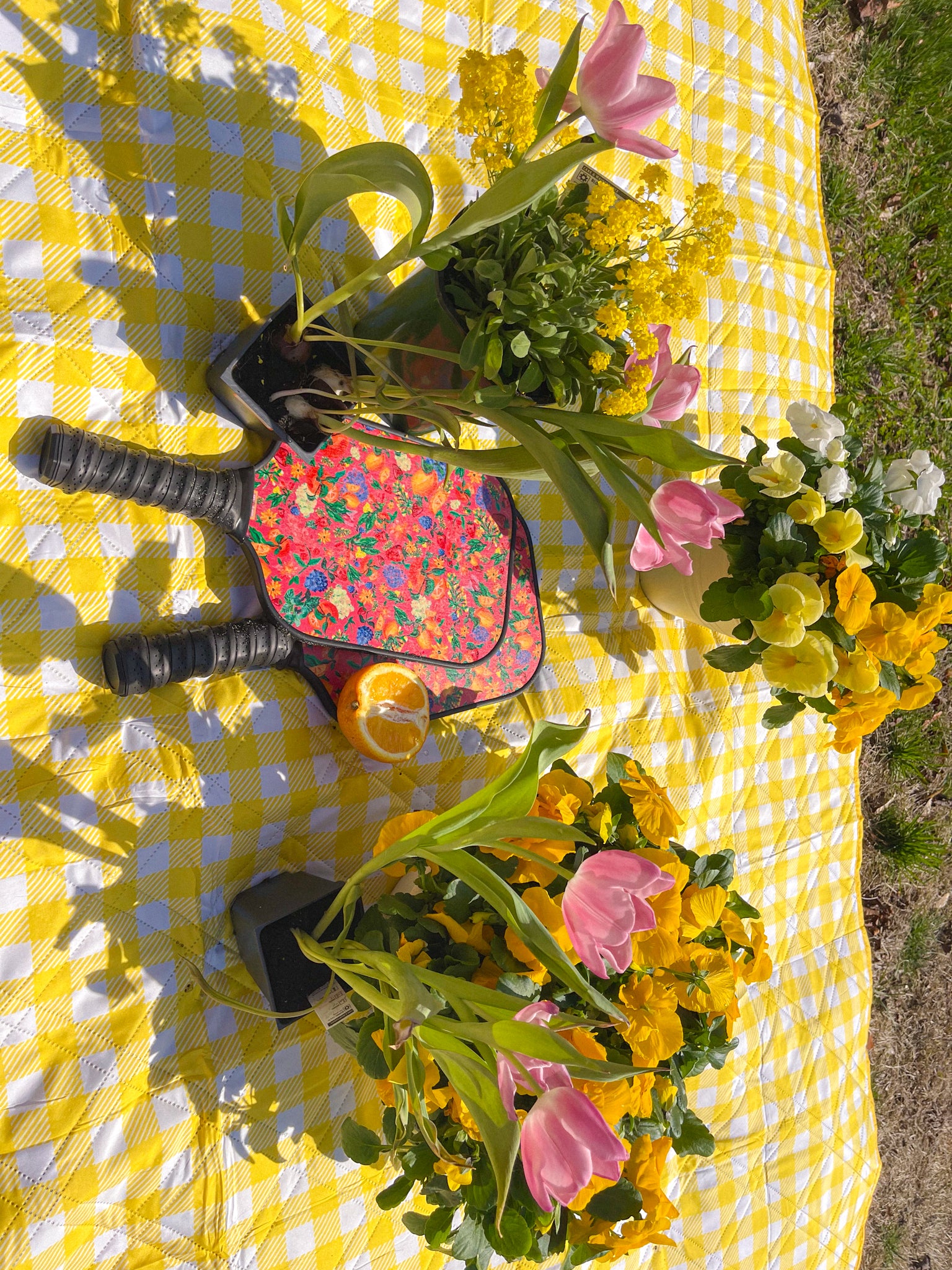 Citrus Garden Pink Pickleball Paddle Set