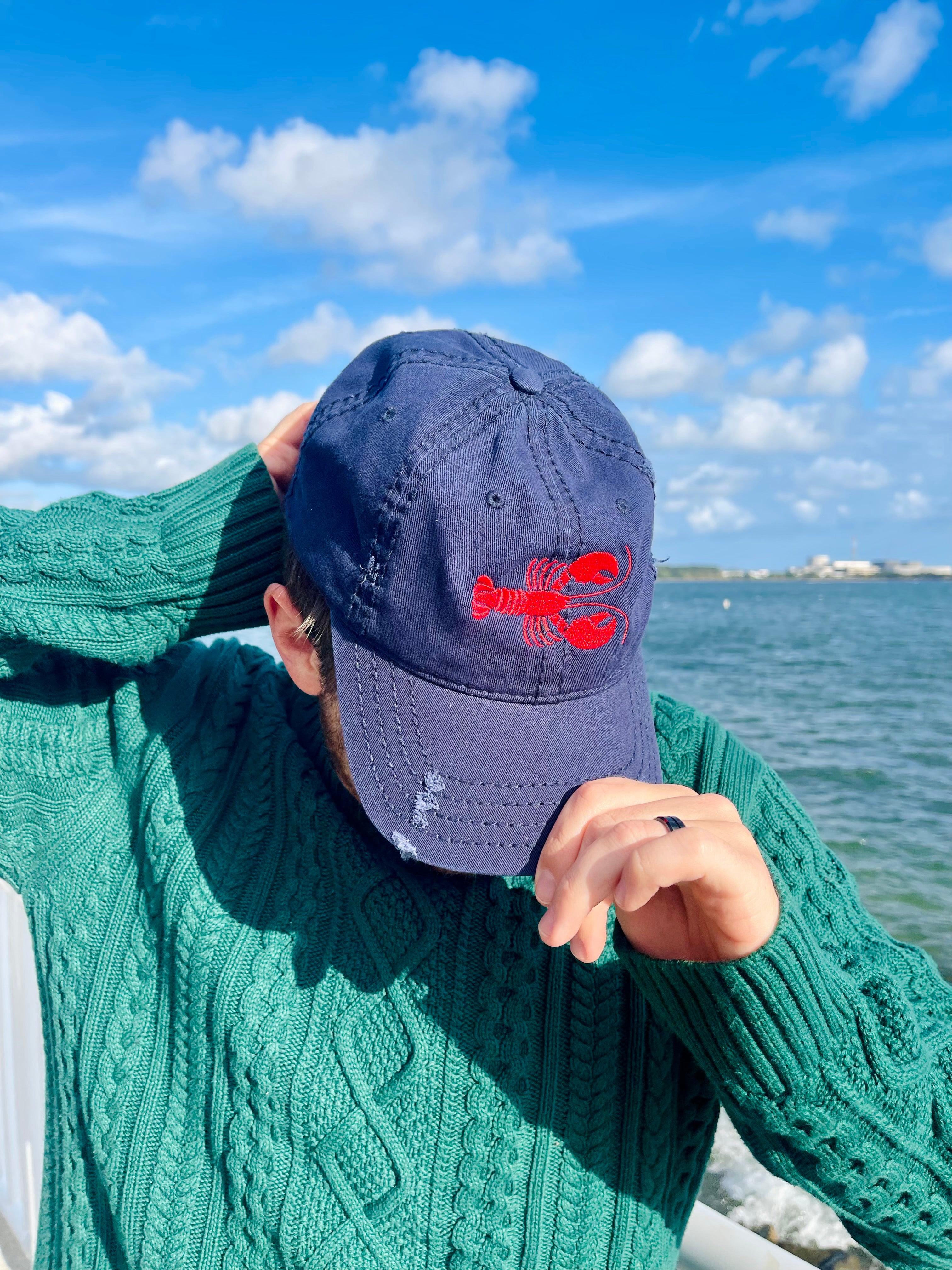 Lobster | Distressed Everyday Hat 🦞