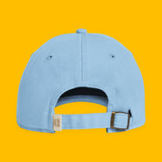 Brain Spam Embroidered Coastal Washed Cap with embroidered "Brain Spam" design