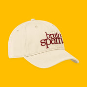 Brain Spam Embroidered Coastal Washed Cap with embroidered "Brain Spam" design — view 17 of 17