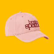 Brain Spam Embroidered Coastal Washed Cap with embroidered "Brain Spam" design — view 9 of 17