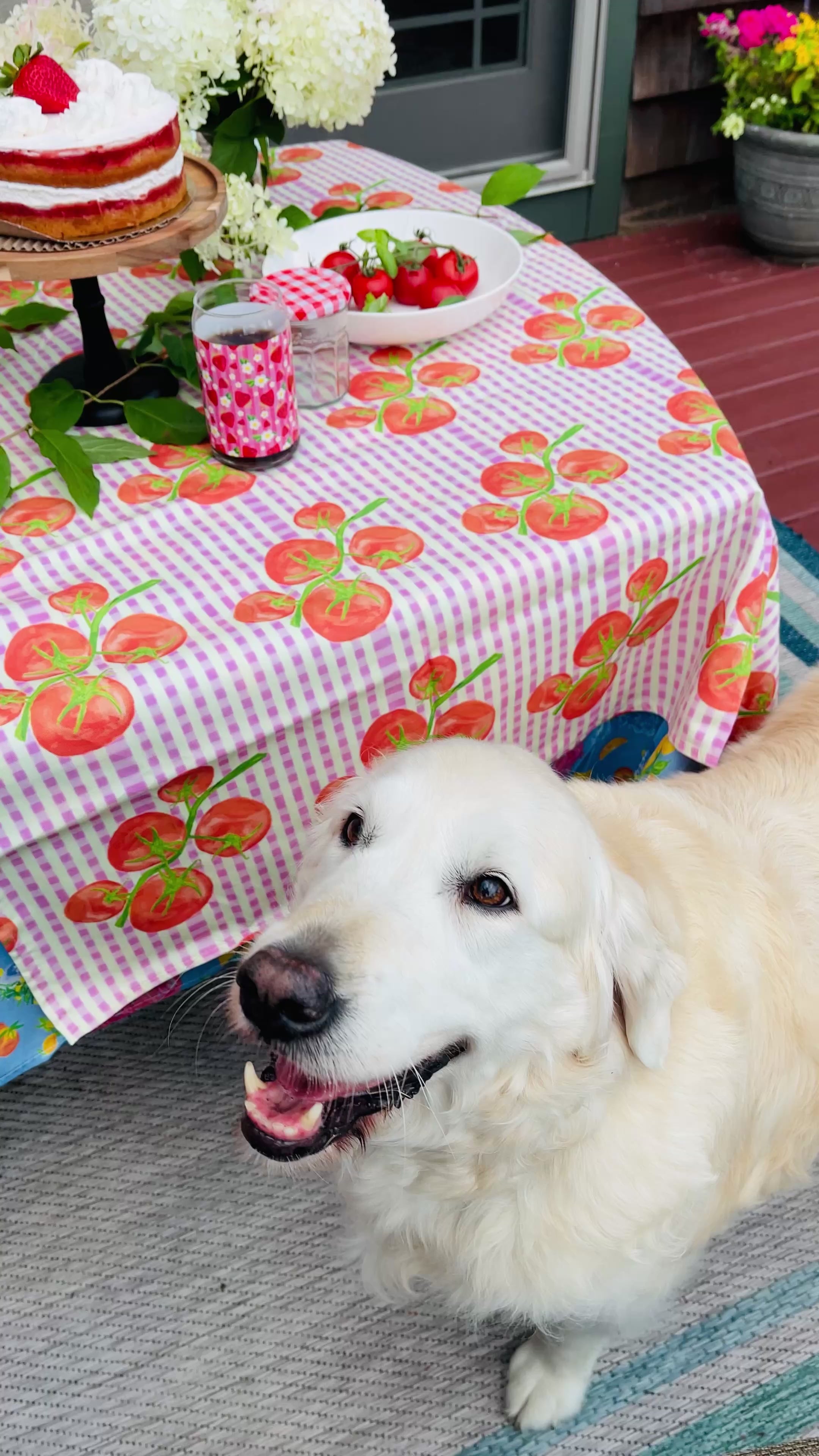 Gingham Tomato | Square Tablecloth 🍅