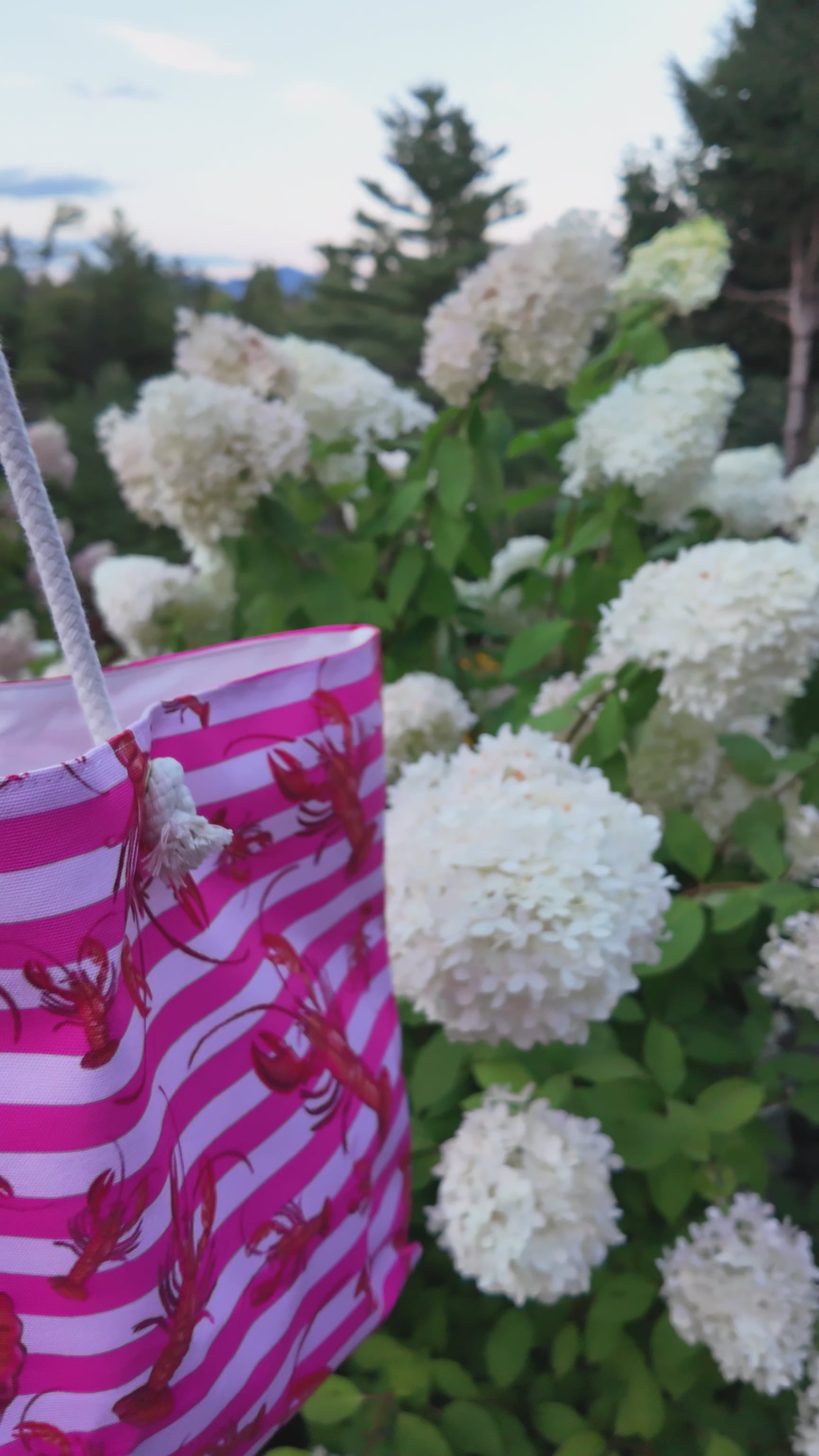 The Weekender Bag | Pink Striped Lobster 🦞