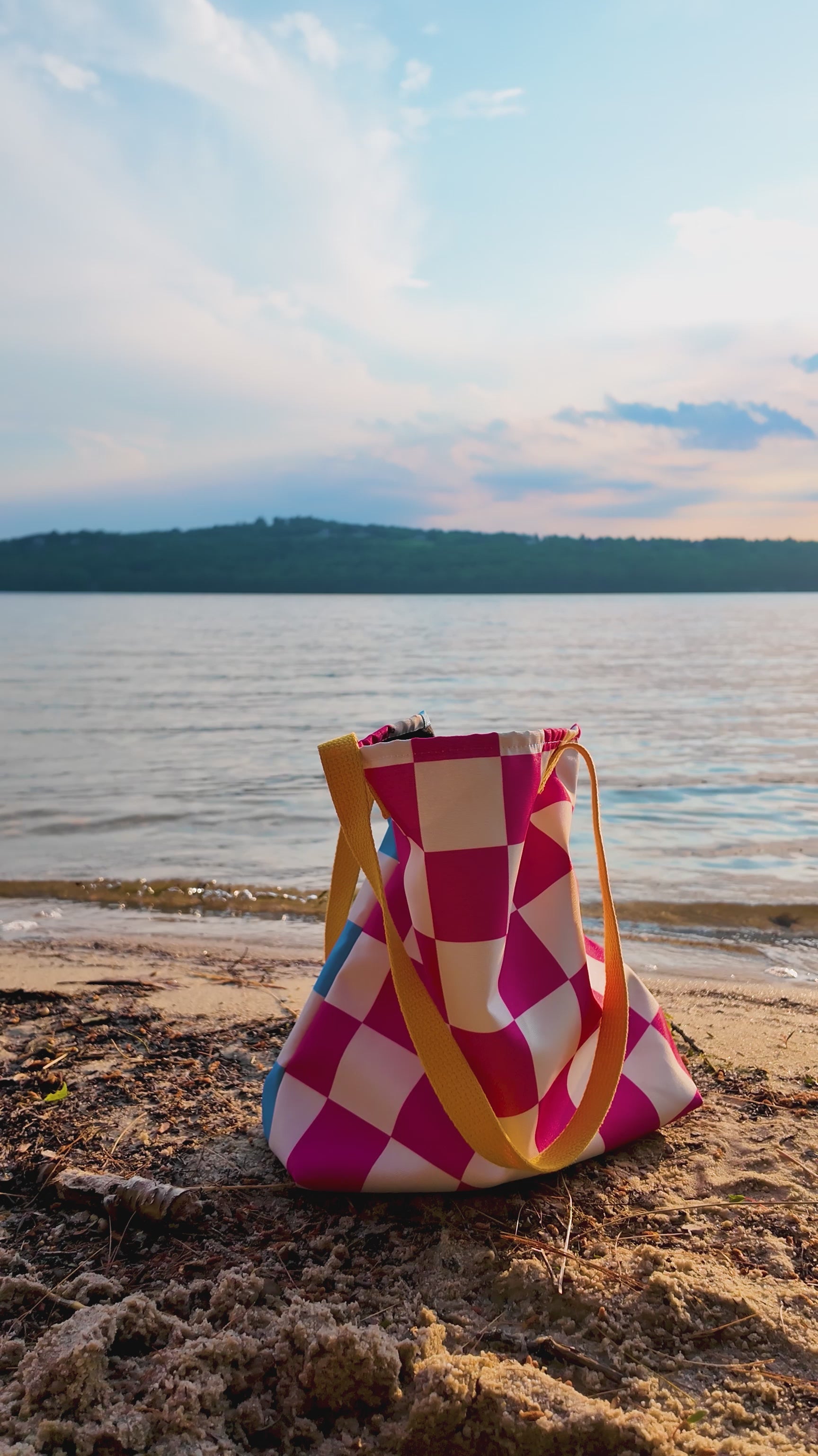 Trendy Checkered Blue and Pink Tote Bag 🍭