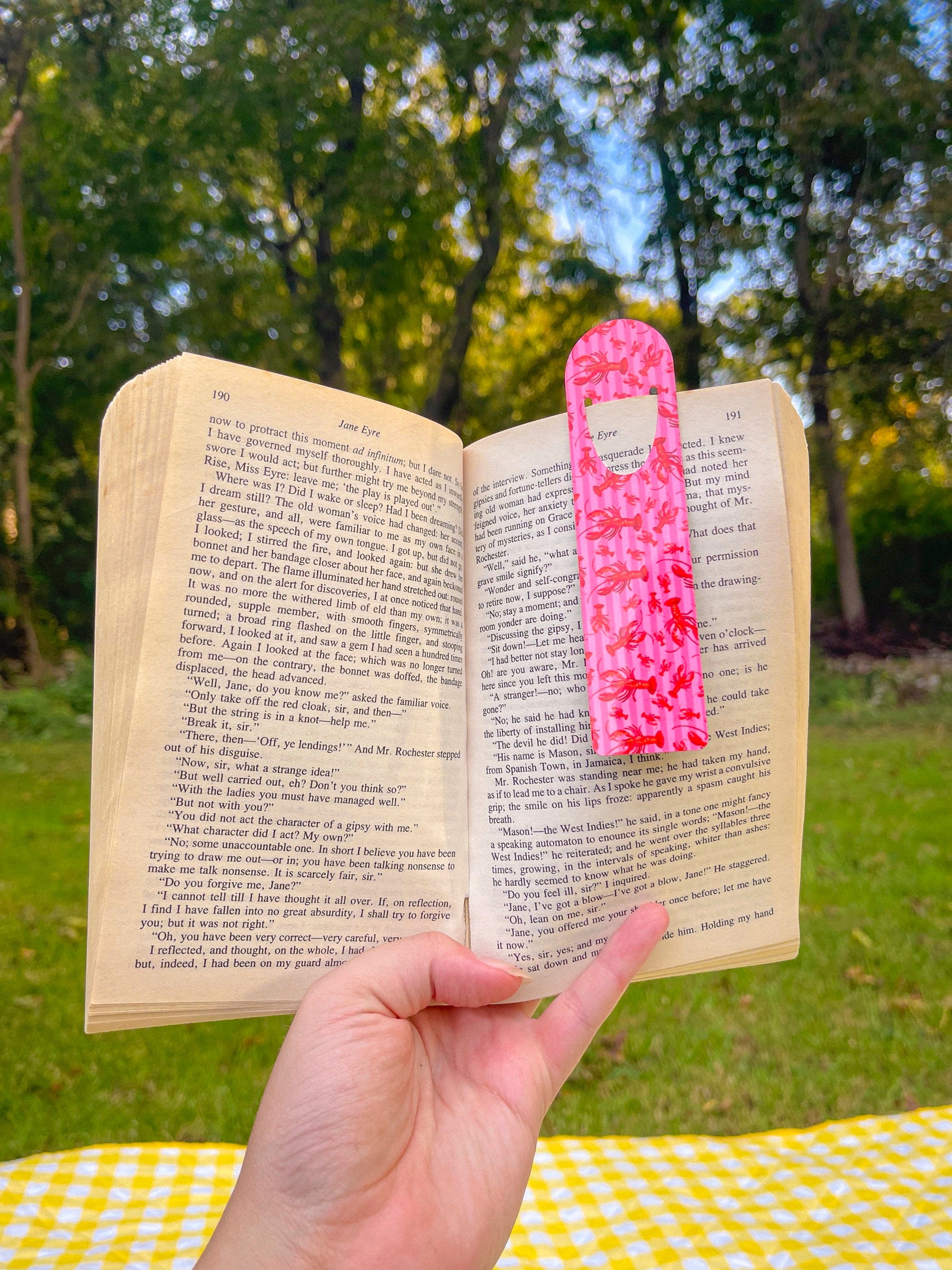 Pink Striped Lobster metal bookmark clipped in an open book outdoors