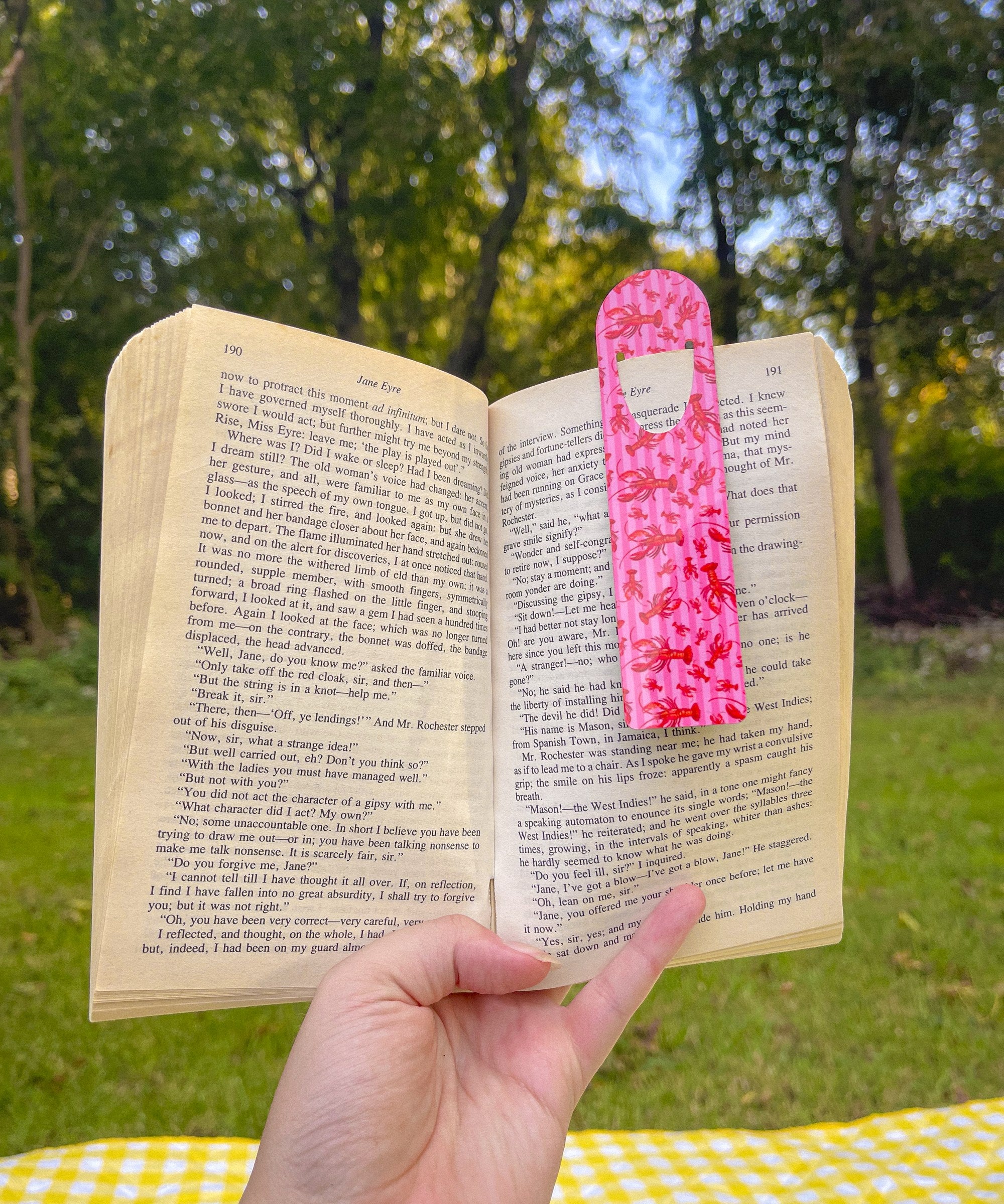 Pink Striped Lobster metal bookmark clipped in an open book outdoors