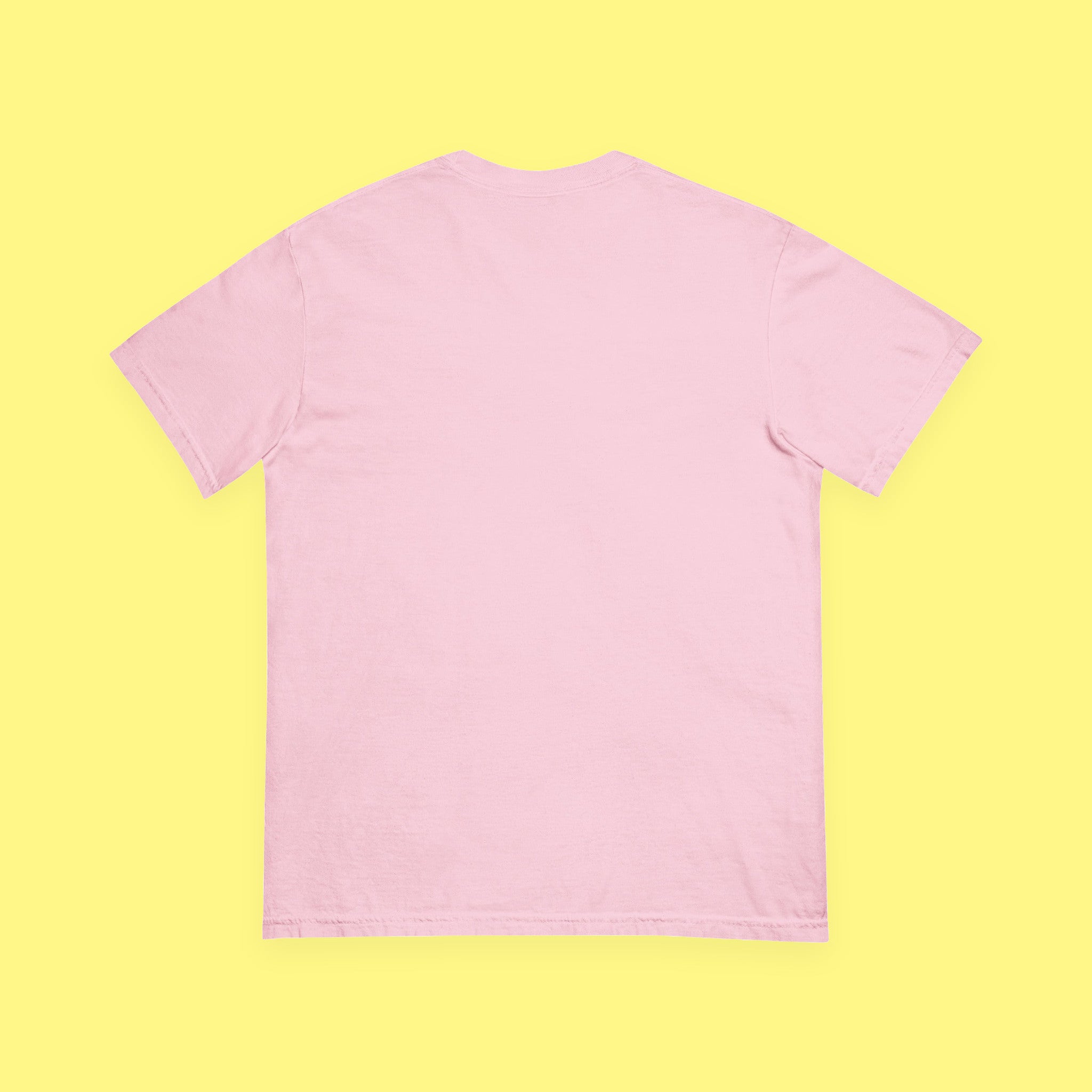 Brain Spam Embroidered Heavyweight Tee with embroidered "Brain Spam" design — view 5 of 11